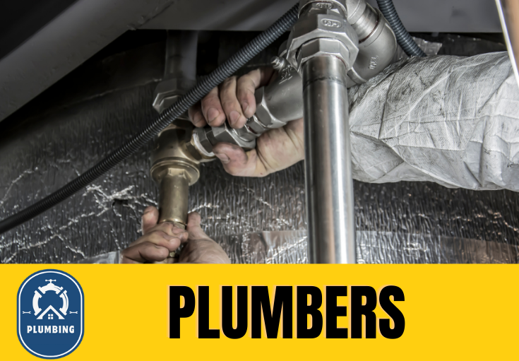  plumber Birkby